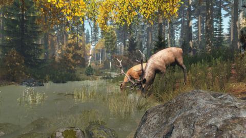 Official DayZ screenshot